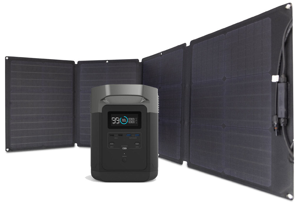 EcoFlow kit: DELTA 2+pannello fotovoltaico 220 Watt